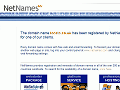 Register domain names online, with registration experts NetNames
